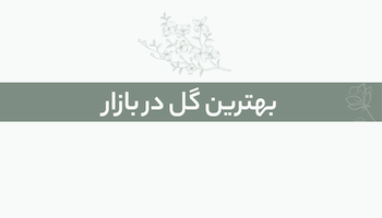 گل فروشی در اصفهان